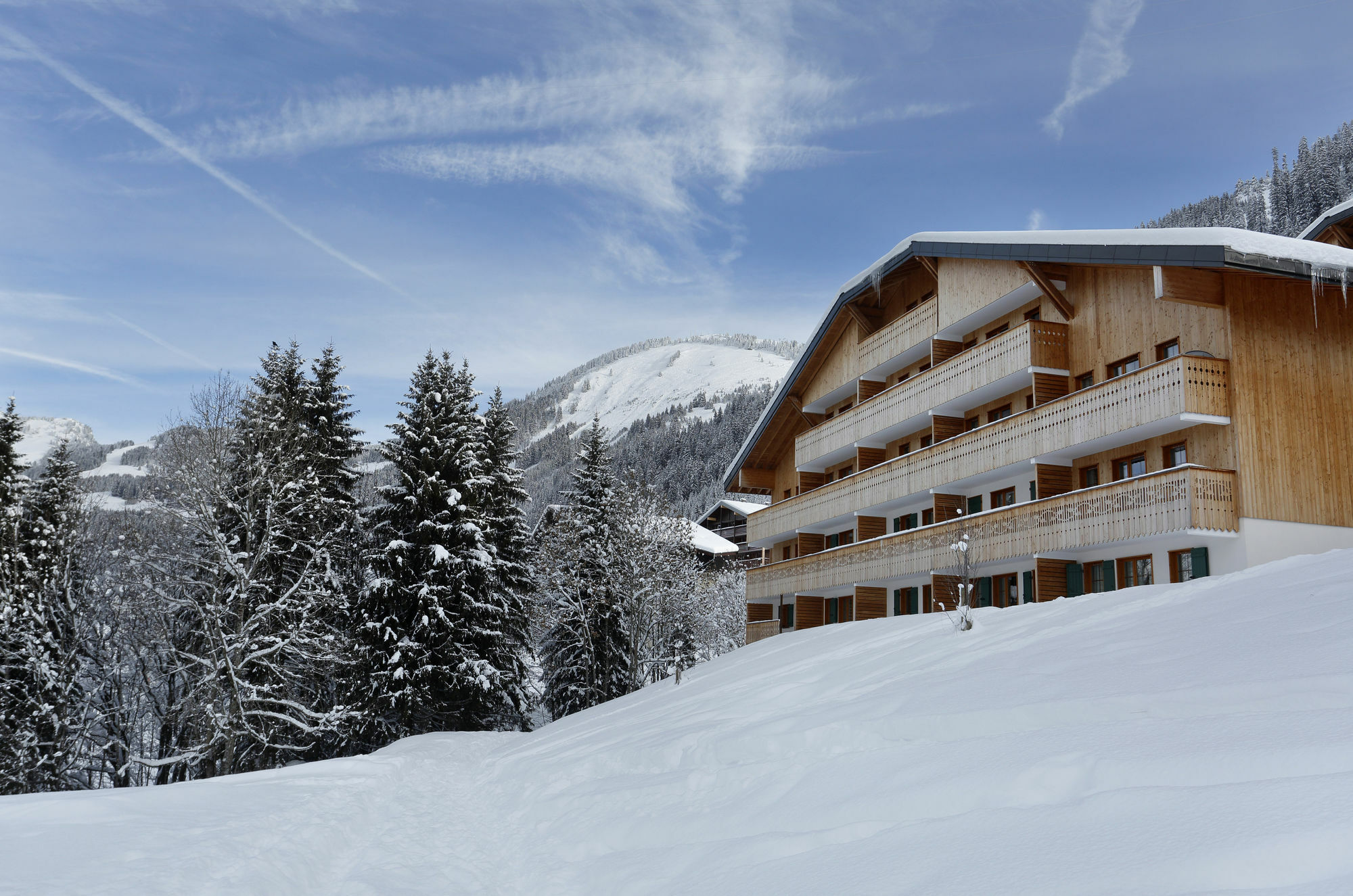 Residence Nemea Le Grand Lodge Châtel 외부 사진